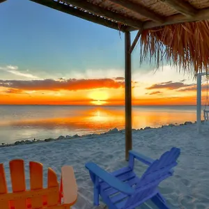  Apartment 252-wifi Waterfront, Amazing View From Balcony-close To Bucs Stadium United States